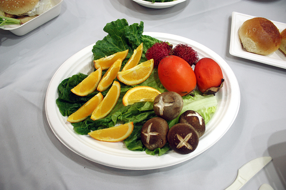 5a72bfc5520ff.jpg KS-P005.jpg