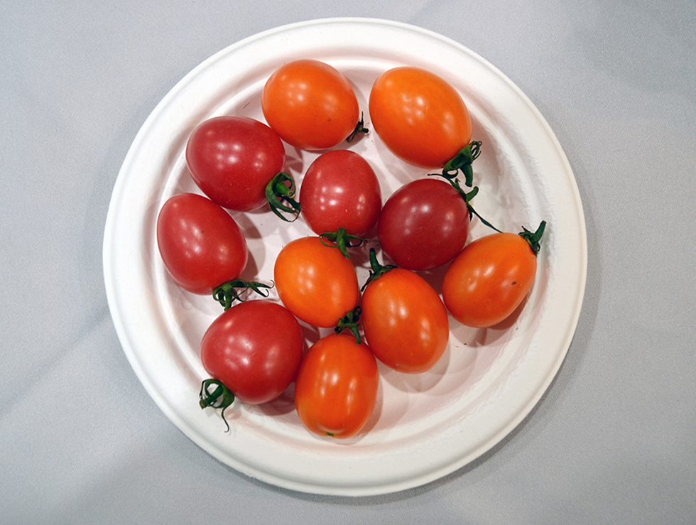 5a72c0edbbc3a.jpg KS-P002.jpg