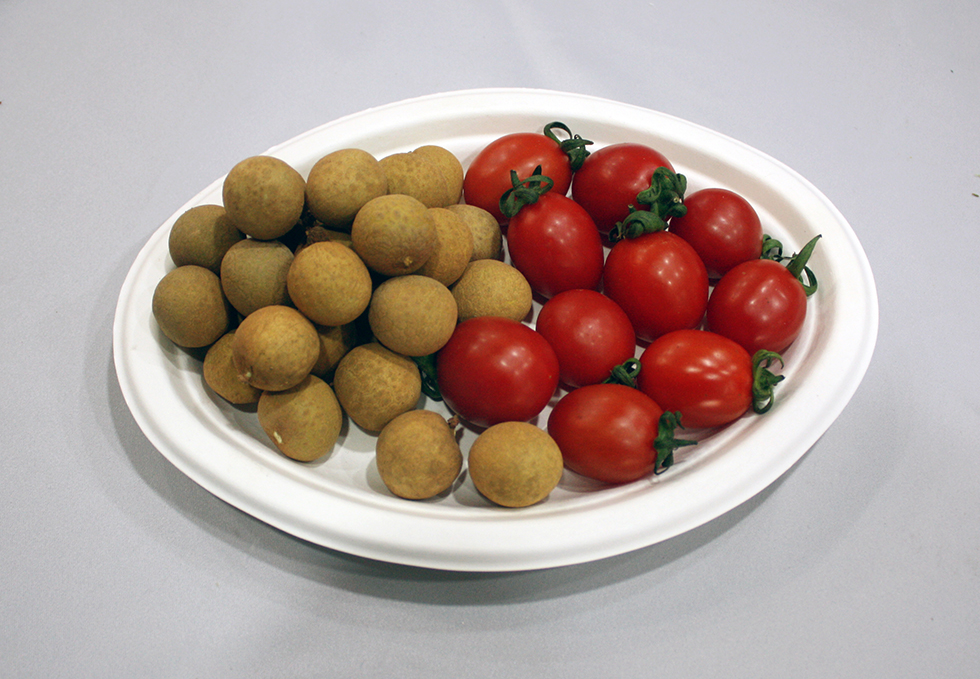 5a72c39ebd15a.jpg KS-P006.jpg