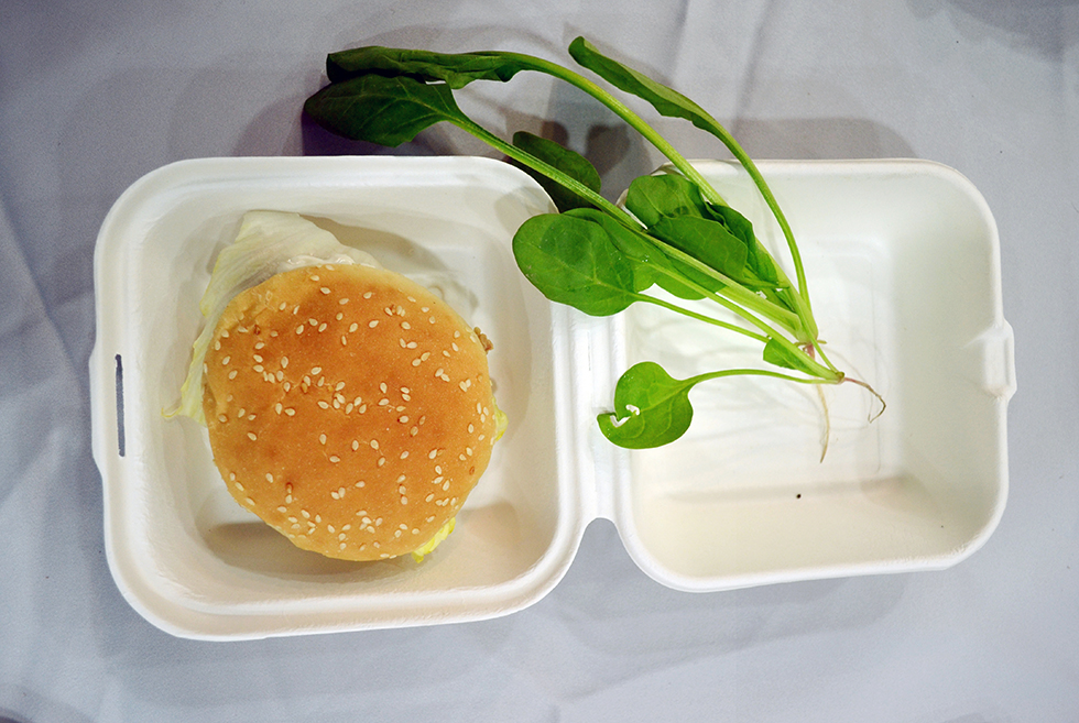 5a72c5a829d31.jpg KS-X001.jpg