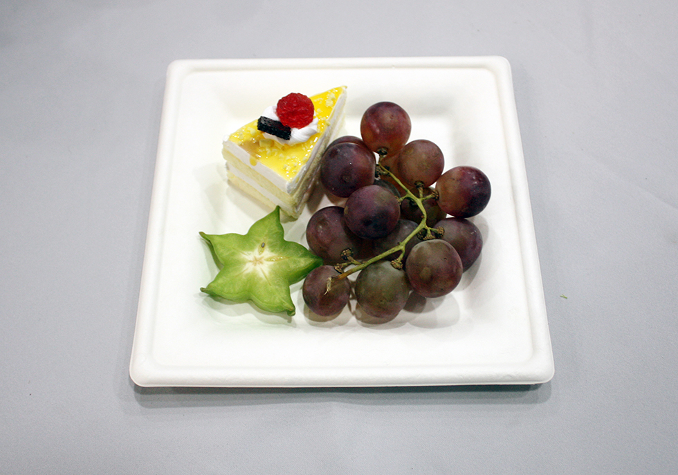 5a72cb1daab6f.jpg KS-P020.jpg