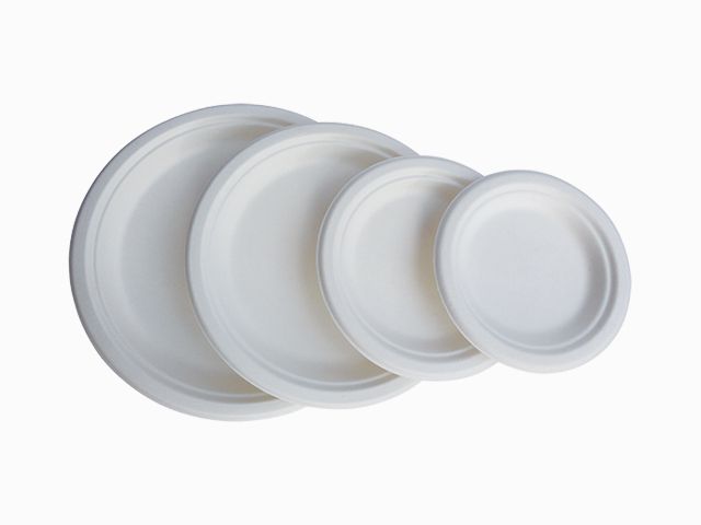6"一次性可降解圓形托盤(pán)